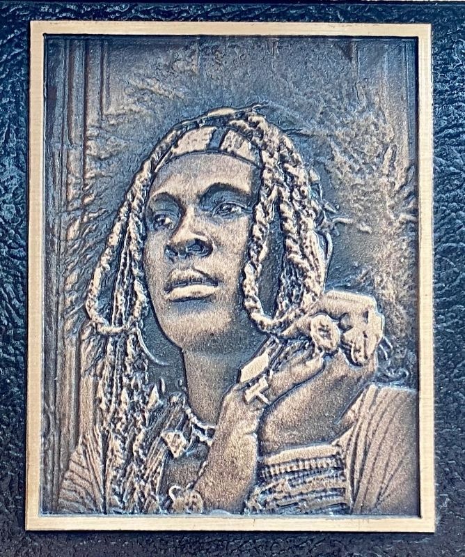 Marker inset: Sylvester. Click for full size. Marker inset: Sylvester image. Click for full size.