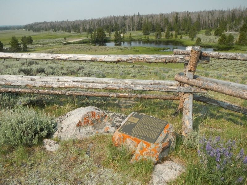 Fauna of Union Pass Marker. Click for full size. Fauna of Union Pass Marker image. Click for full size.
