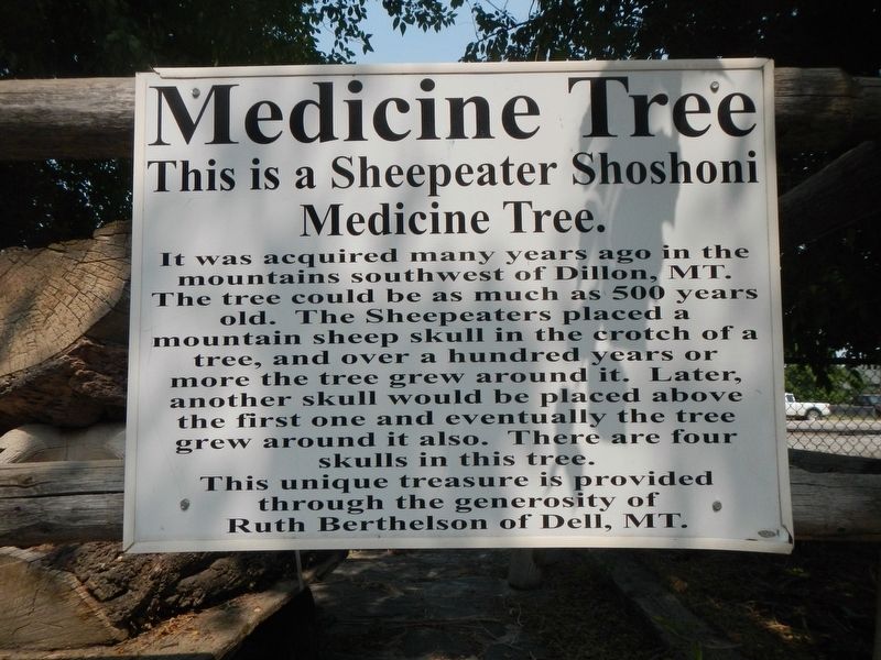 Medicine Tree Marker. Click for full size. Medicine Tree Marker image. Click for full size.
