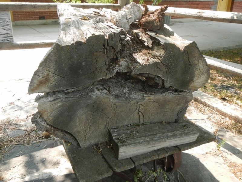 Location of the fourth skull, now sitting on the top.. Click for full size. Location of the fourth skull, now sitting on the top. image. Click for full size.