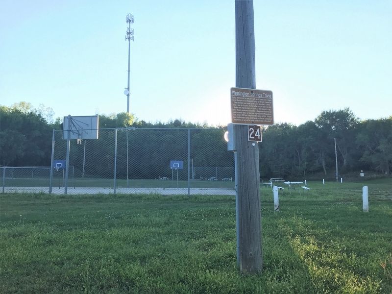 Wessington Springs Trivia Marker image. Click for full size.