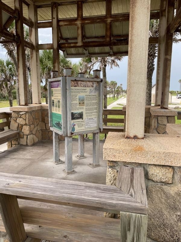 Coquina Marker. Click for full size. Coquina Marker image. Click for full size.