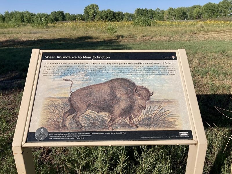 Sheer Abundance to Near Extinction Marker image. Click for full size.