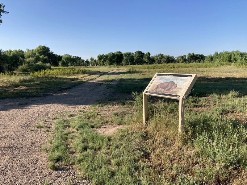 Sheer Abundance to Near Extinction Marker image. Click for full size.