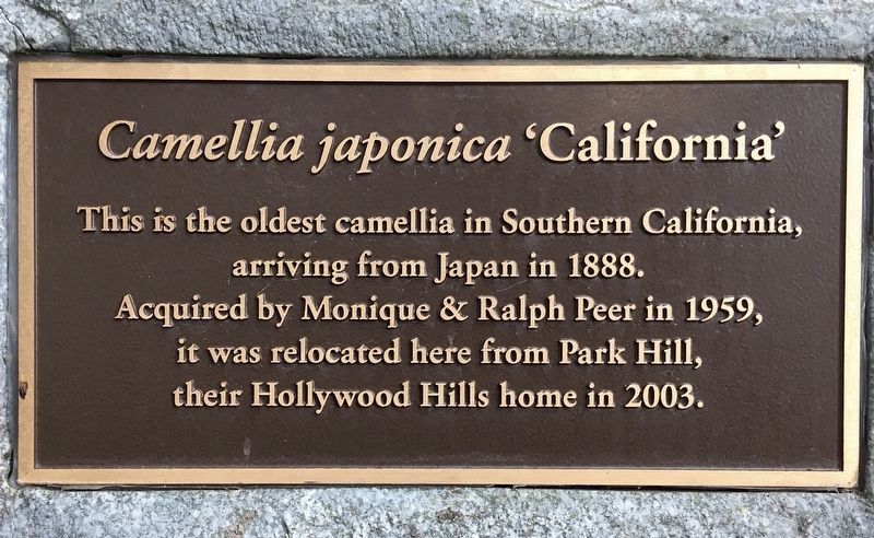 Plaque added in 2021. Click for full size. Plaque added in 2021 image. Click for full size.
