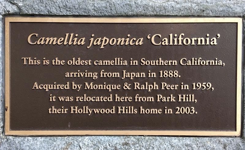 Plaque added in 2021 image. Click for full size.