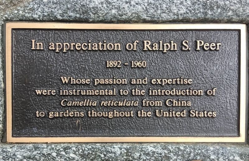 Tribute Marker. Click for full size. Tribute Marker image. Click for full size.