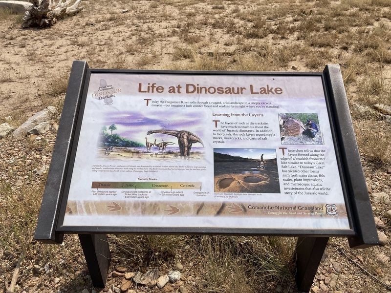 Life at Dinosaur Lake Marker image. Click for full size.