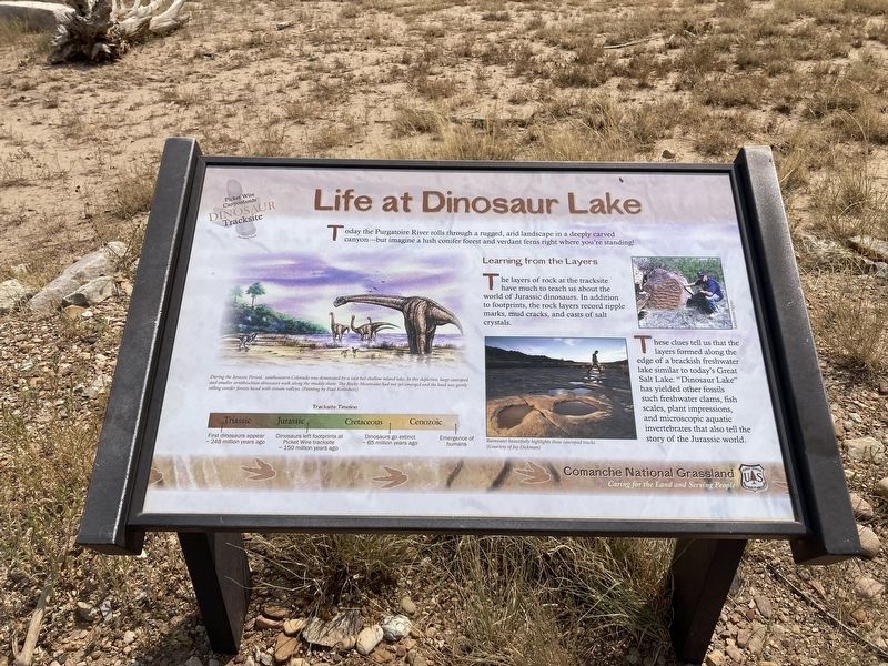 Life at Dinosaur Lake Marker. Click for full size. Life at Dinosaur Lake Marker image. Click for full size.