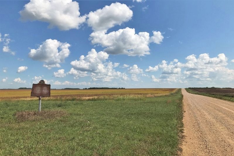 Brookings County / Moody County Marker, from the west image. Click for full size.