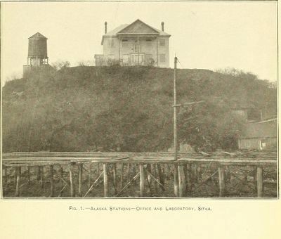 Agricultural Experimental Station in Sitka image. Click for full size.