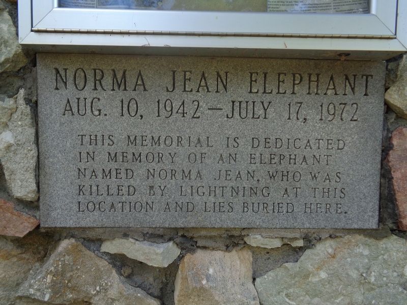 Norma Jean Elephant Marker image. Click for full size.