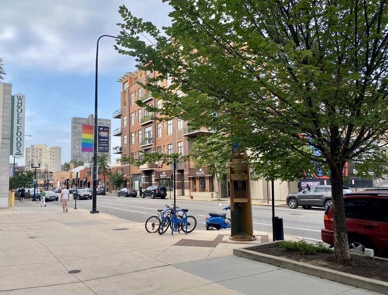 Jane Addams Marker - wide view image. Click for full size.