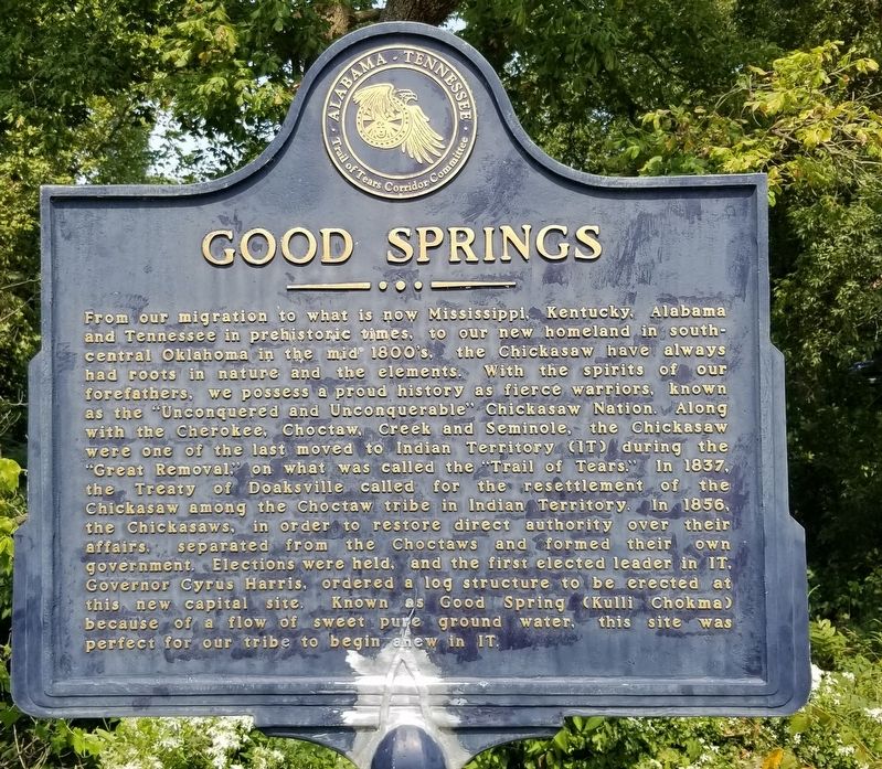 Good Springs Marker image. Click for full size.