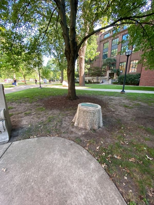 Professor Robert D. Brackett Marker. Click for full size. Professor Robert D. Brackett Marker image. Click for full size.