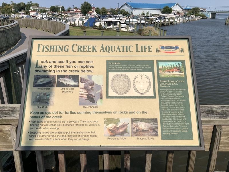Fishing Creek Aquatic Life Marker image. Click for full size.