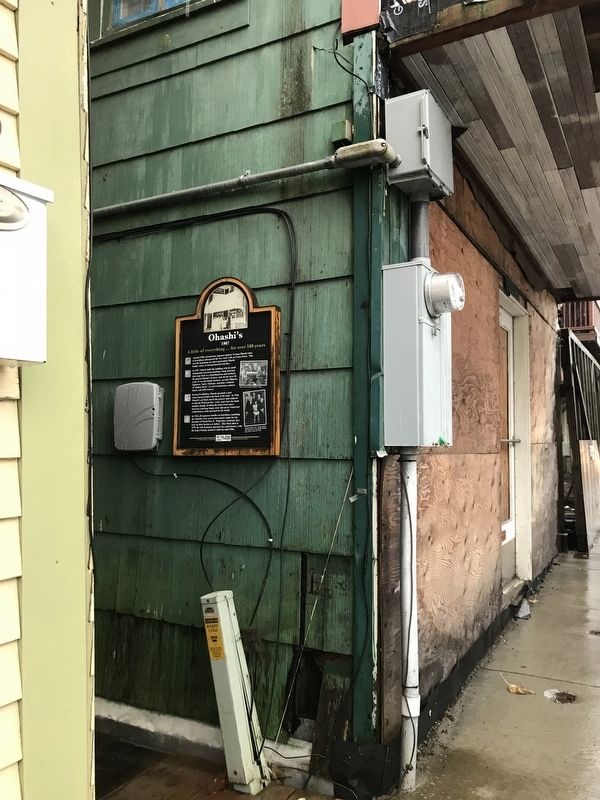 Ohashi's Marker. Click for full size. Ohashi's Marker image. Click for full size.