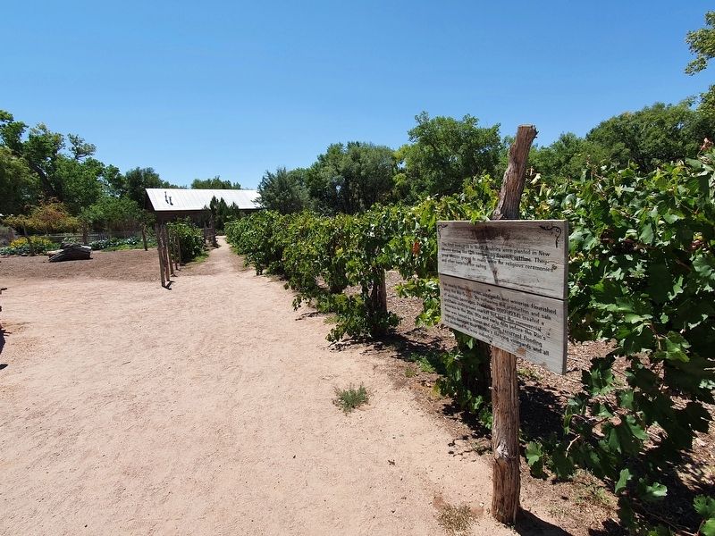 The Vineyard and Marker image. Click for full size.