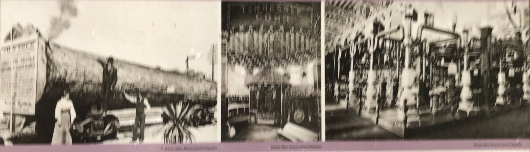 Pageantry & Promotion at the Exposition Marker detail image. Click for full size.