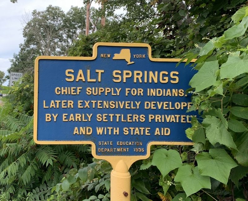 Salt Springs Marker image. Click for full size.