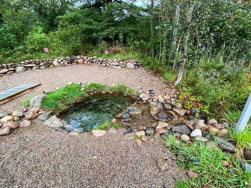 The natural spring located next to the marker. image. Click for full size.
