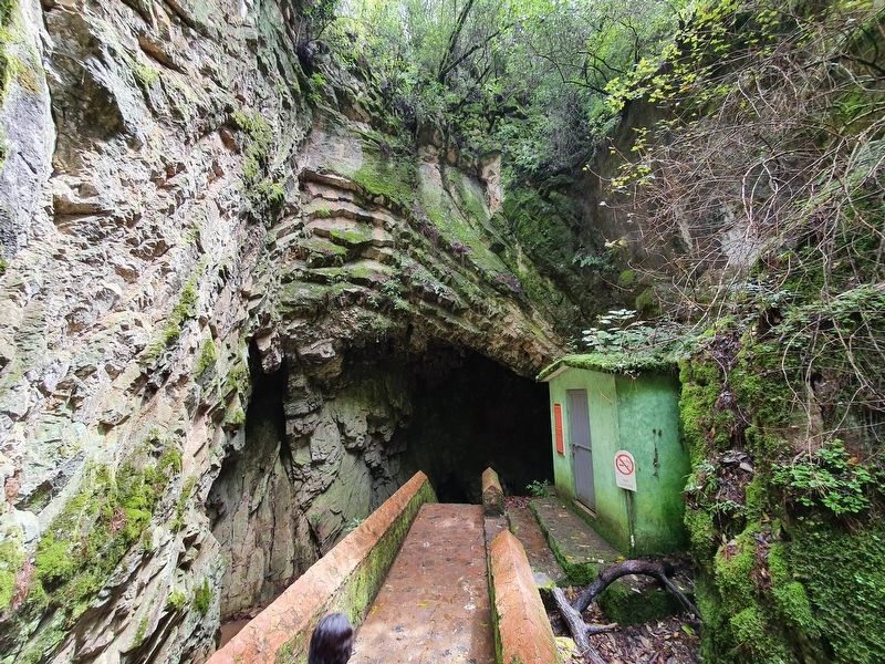 Los Herrera Caves and Marker image. Click for full size.