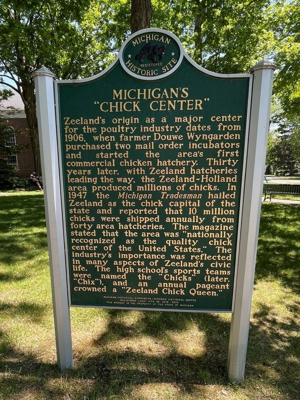 Michigan's "Chick Center" Marker image. Click for full size.