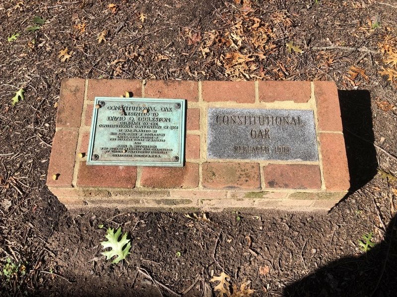 Constitutional Oak Marker image. Click for full size.