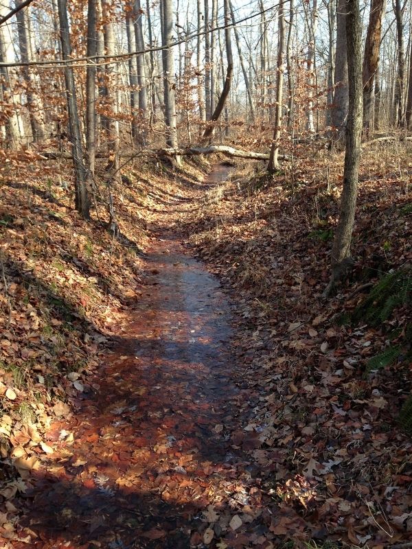 "Newton's Mill" Mill Race image. Click for full size.