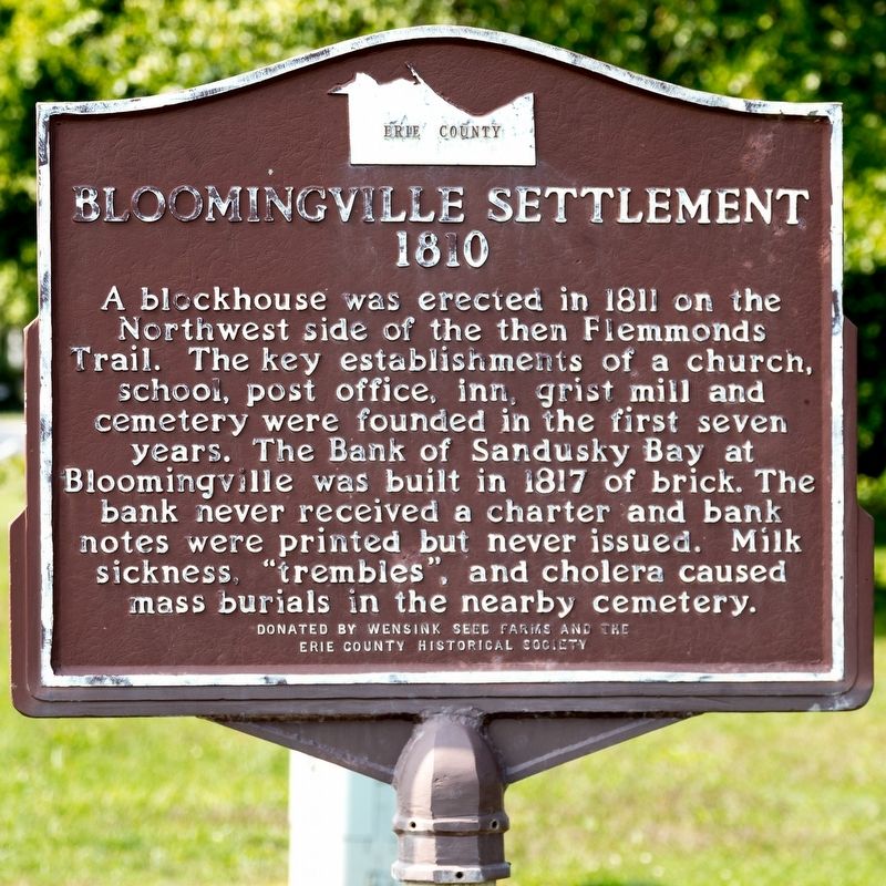 Bloomingville Settlement Marker image. Click for full size.