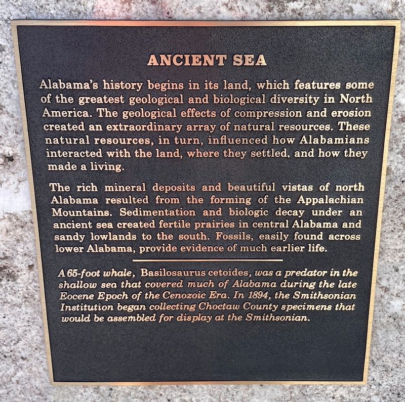 Ancient Sea Marker image. Click for full size.