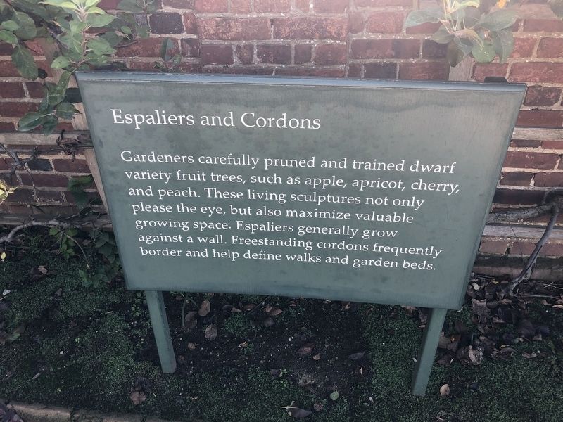 Espaliers and Cordons Marker. Click for full size. Espaliers and Cordons Marker image. Click for full size.