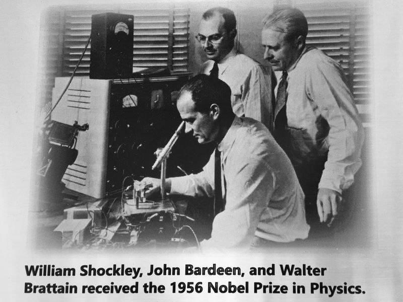 Nobel Prize image. Click for full size.