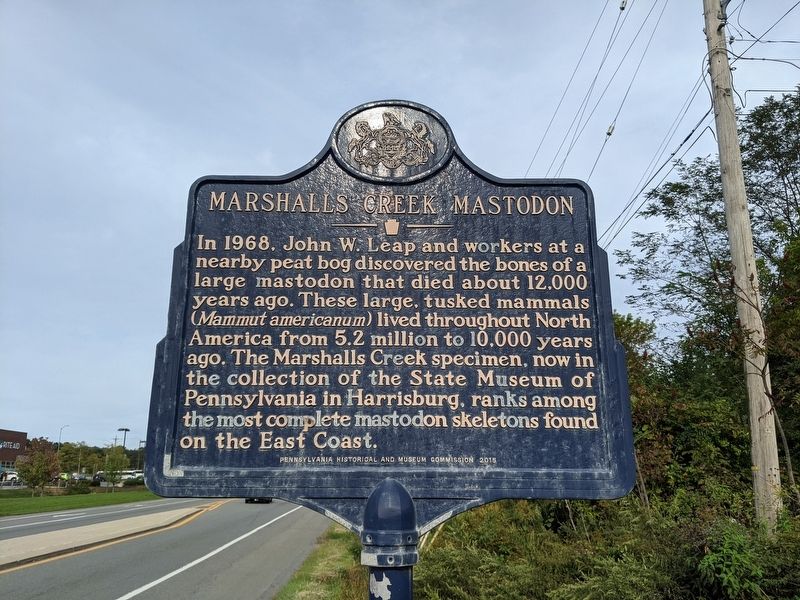 Marshalls Creek Mastodon Marker image. Click for full size.