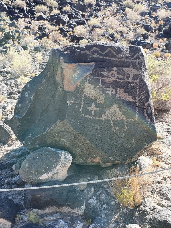 Mesa Point Trail Boulder with Petroglyphs image. Click for full size.