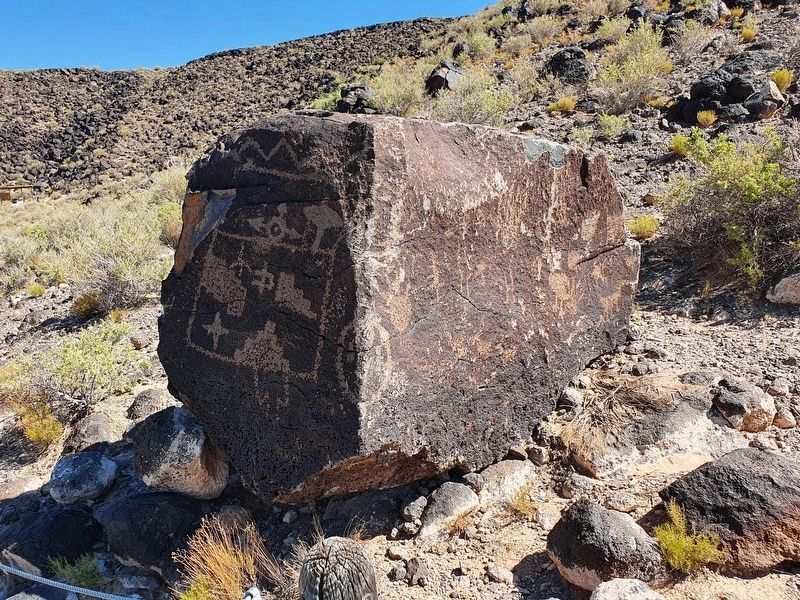 Another view of the Mesa Point Trail Boulder with Petroglyphs image. Click for full size.