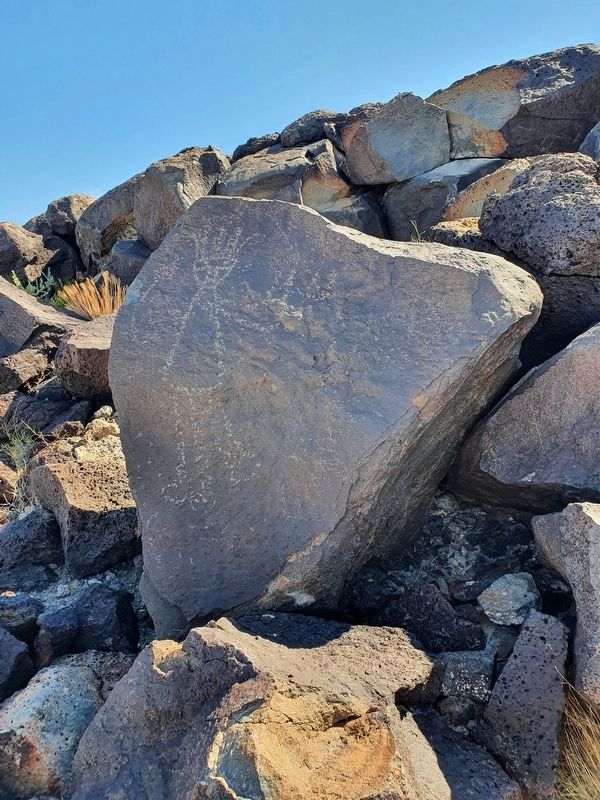 Mesa Point Trail Petroglyph image. Click for full size.