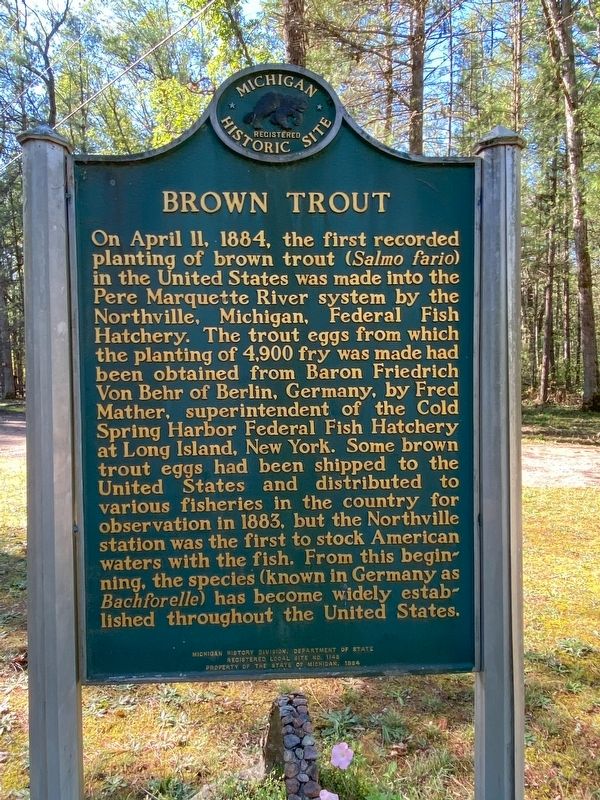 Brown Trout Marker image. Click for full size.