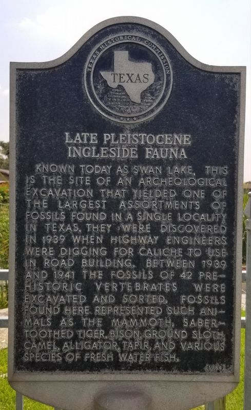 Late Pleistocene Ingleside Fauna Marker image. Click for full size.