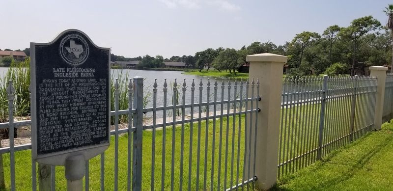 The Late Pleistocene Ingleside Fauna Marker in front of Swan Lake image. Click for full size.