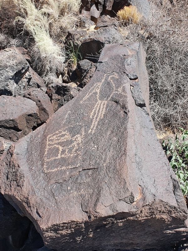 Macaw Petroglyph image. Click for full size.