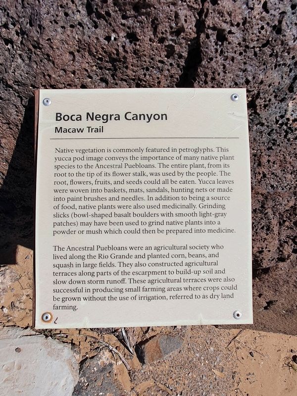 Macaw Trail Marker image. Click for full size.