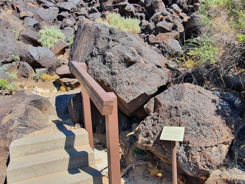 Macaw Trail Marker with the nearby Yucca Pod Petroglyph image. Click for full size.