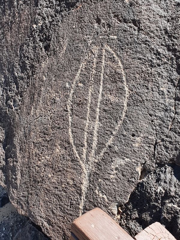 Yucca Pod Petroglyph image. Click for full size.
