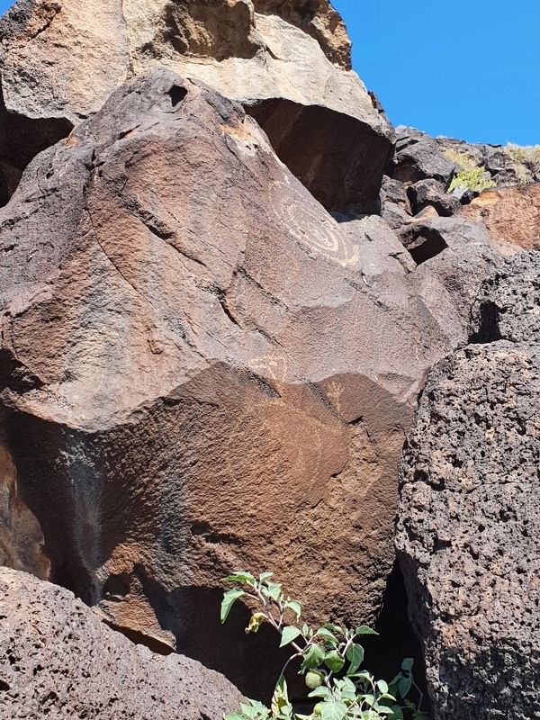 Petroglyphs near the Estimating Petroglyph Age - Cliff Base Trail Marker image. Click for full size.