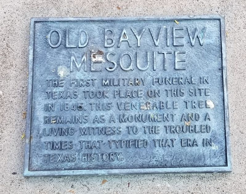 Old Bayview Mesquite Marker. Click for full size. Old Bayview Mesquite Marker image. Click for full size.