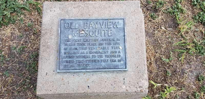 The Old Bayview Mesquite Marker on the ground. Click for full size. The Old Bayview Mesquite Marker on the ground image. Click for full size.