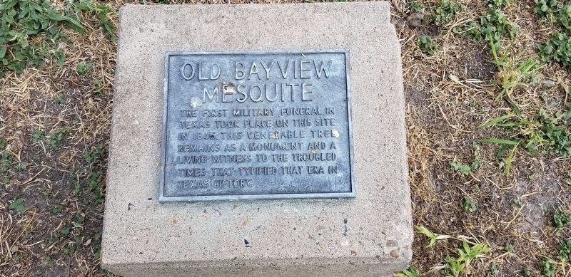 The Old Bayview Mesquite Marker on the ground image. Click for full size.