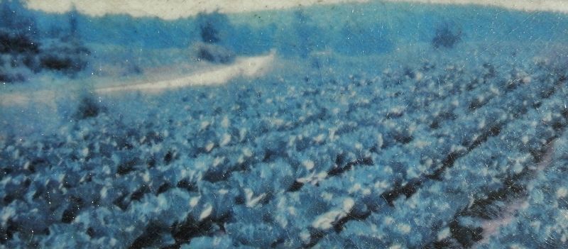 Marker detail: Row Crops. Click for full size. Marker detail: Row Crops image. Click for full size.