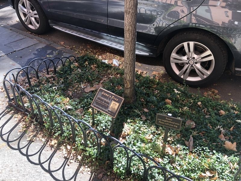 Gene's Tree Marker. Click for full size. Gene's Tree Marker image. Click for full size.